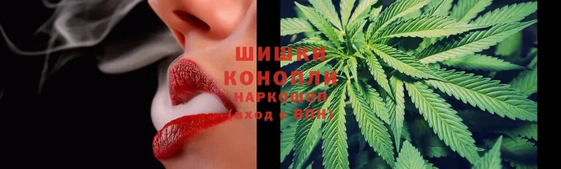 Канабис Ganja  Шахунья 